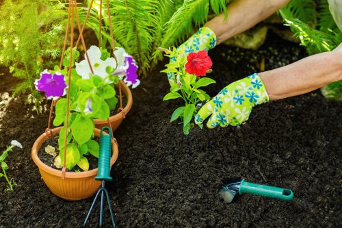 Seasonal garden maintenance in Balham