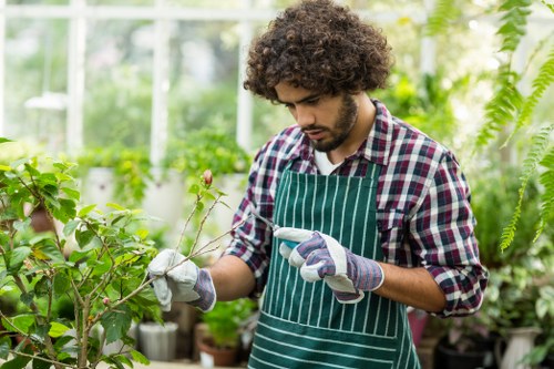 Seasonal lawn care tips for Balham residents