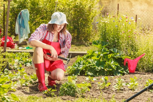 Healthy green lawn managed by experts