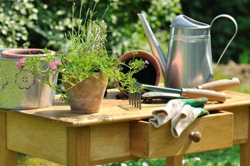 Experienced horticulturists planning a garden design