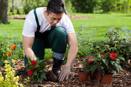 Professional landscapers working in Balham garden