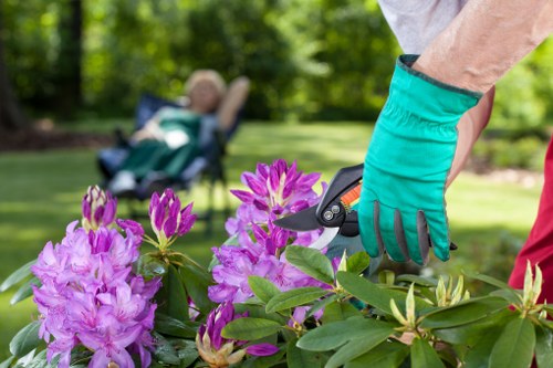 Curb appeal enhancement with stylish landscaping