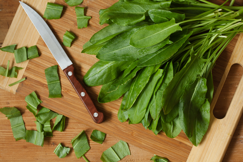 landscape design Garden