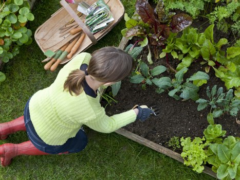 Professional landscaping by Balham gardener